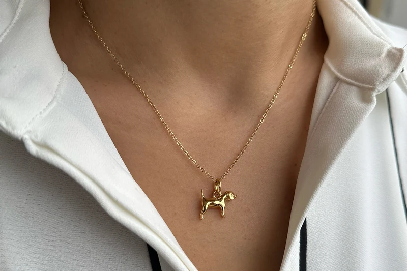 Beagle Collana