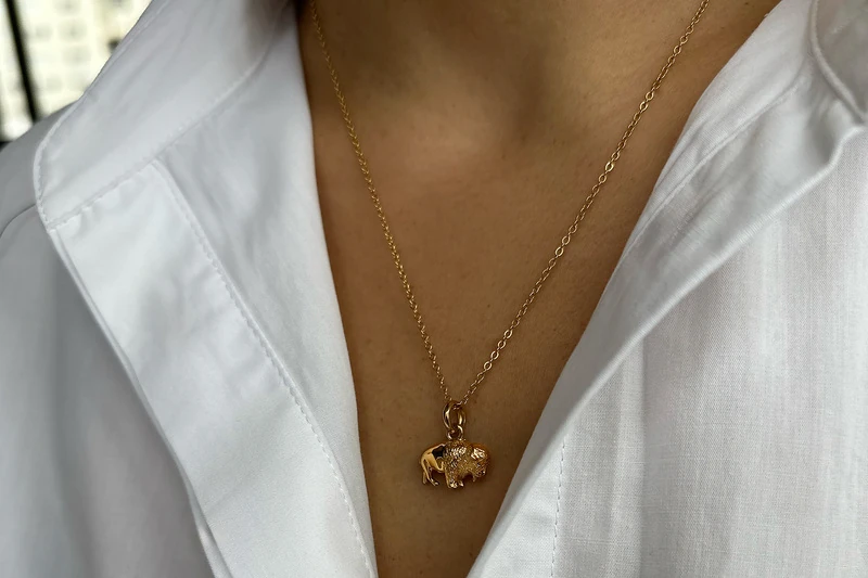 Bisonte Collana