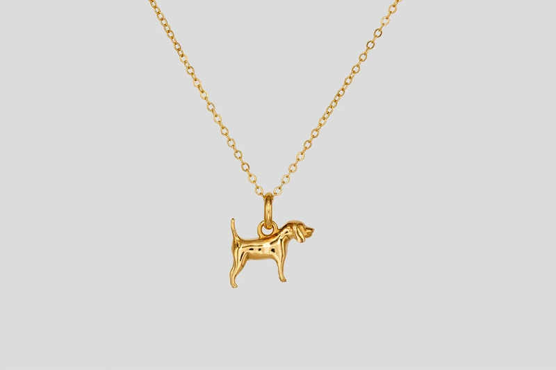 Beagle Collana