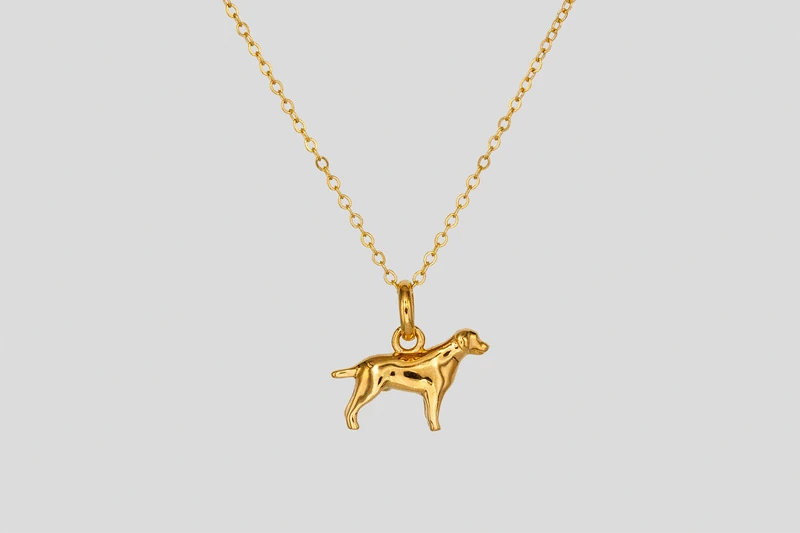 Labrador Collana