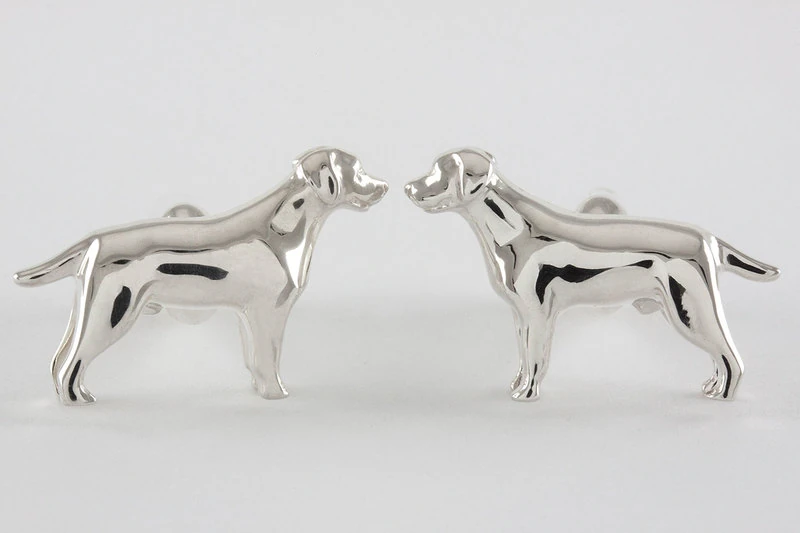 Labrador retriever Gemelli da polso