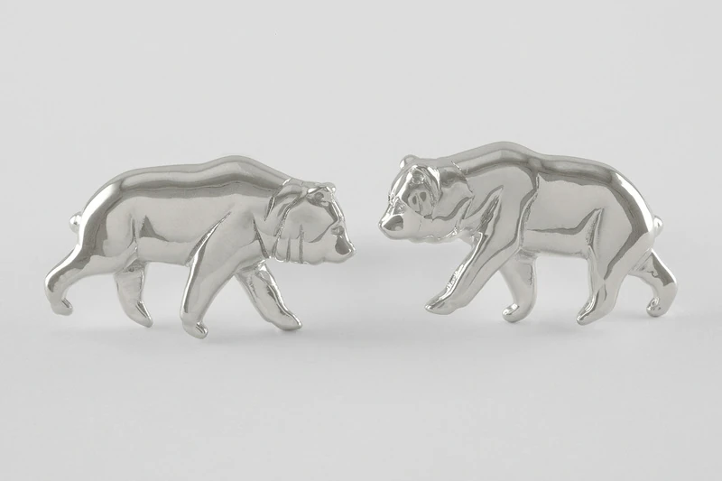 Orso grizzly Gemelli da polso