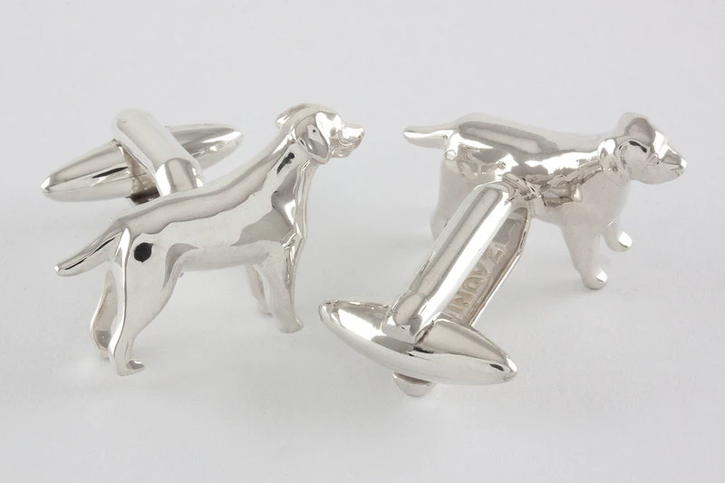 Labrador retriever Gemelli da polso