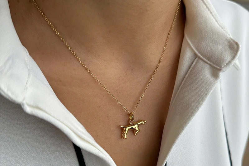 Pointer Collana